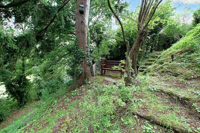 Woodland and gardens