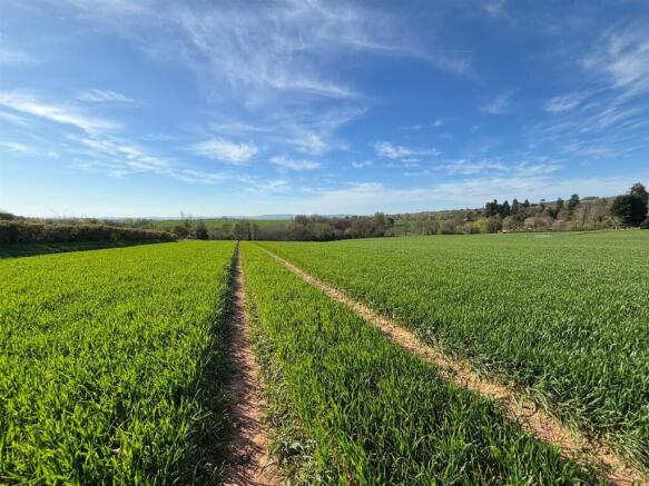 WhatsApp Image 2026-04-07 at 10.04.23 (1).jpeg