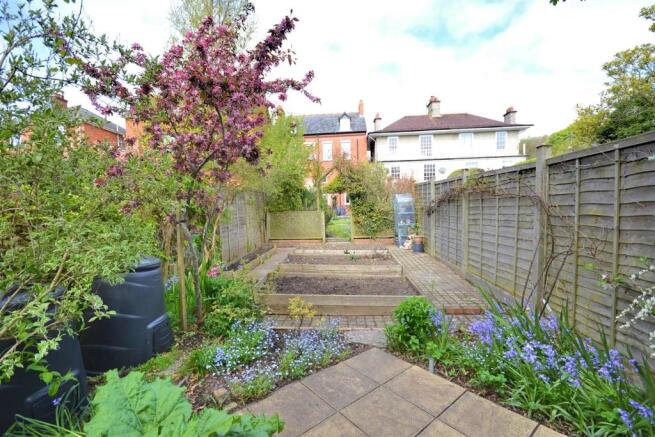 Garden 6.jpg