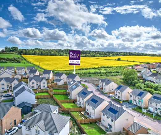 Plot 11