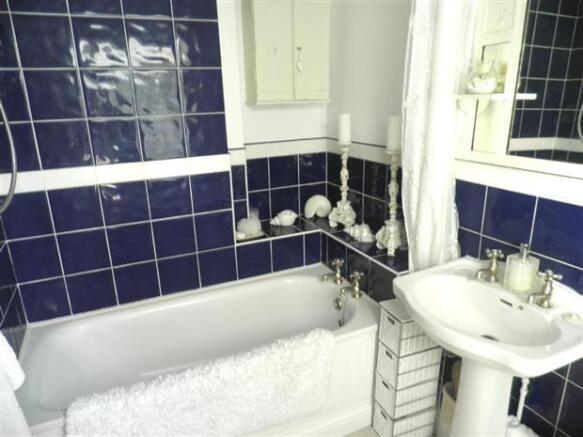 Photo 11