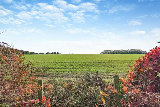 Views over fields