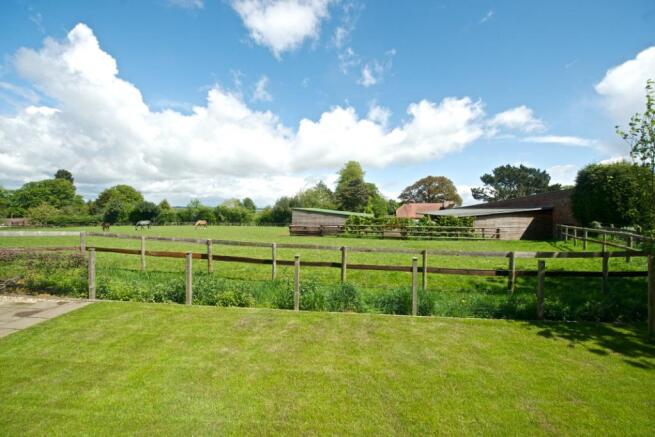 Garden and View