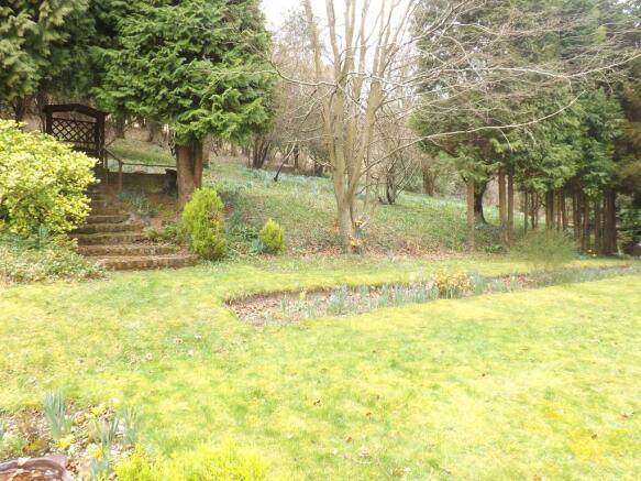 Photo 07