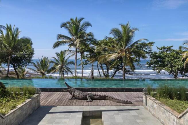 A crocodile lies near a pool with a backdrop of pa