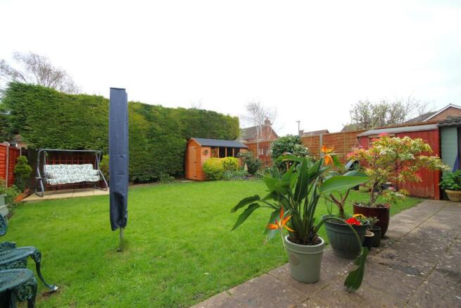 garden 2.JPG