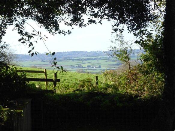 View From Garden