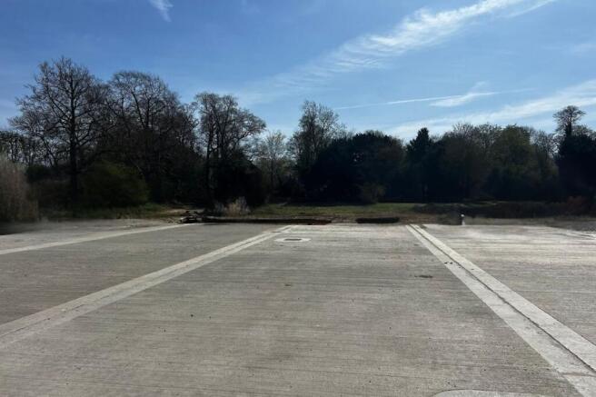 Untitled design (2).jpg