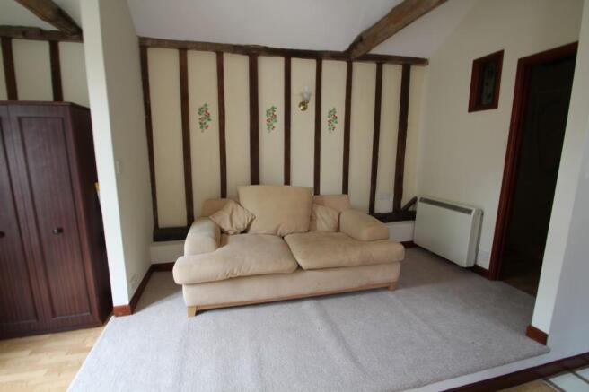 Living Room/Bedroom