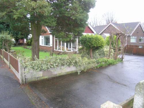 Photo 3