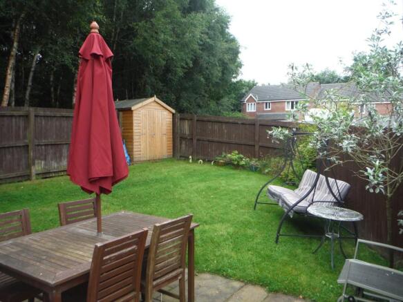 Photo 7