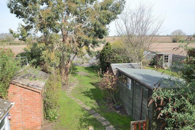 Garden from Window