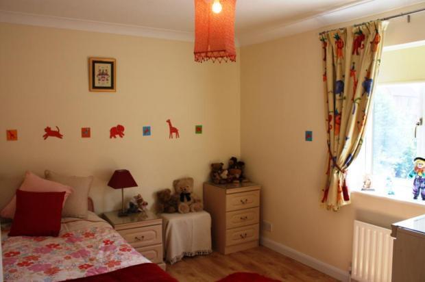 Photo 12