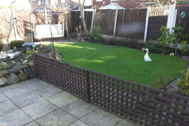 Photo 11