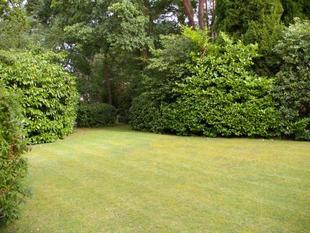 GARDENS & PARKING