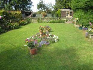 garden 2