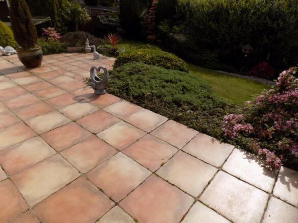 Patio Area
