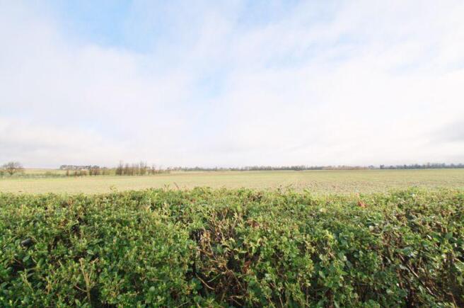 Countryside Views