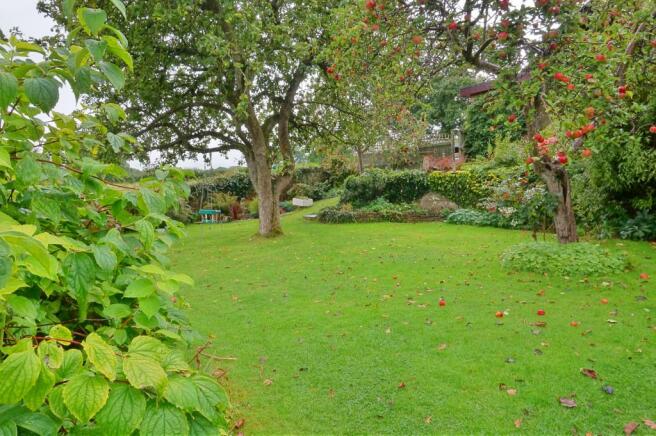 Garden4