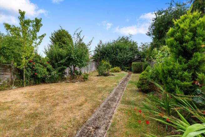 P2561853.jpg