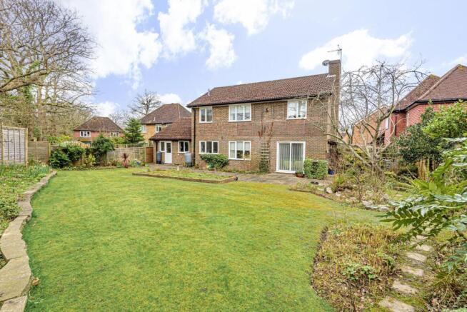 Back garden