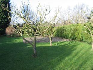 Garden third phase