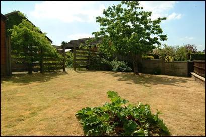 Lawned area