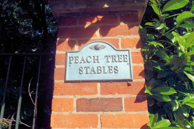 Peach Tree Stables