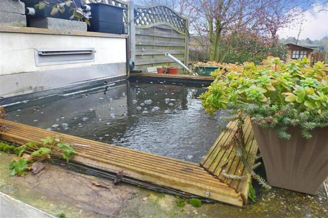 Pond