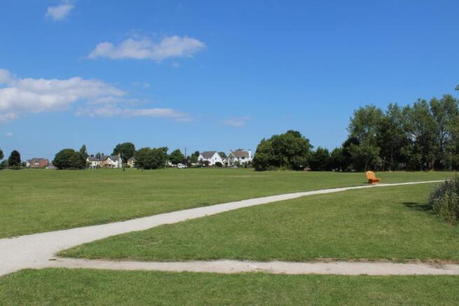 The Common