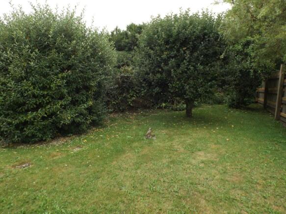 Rear garden