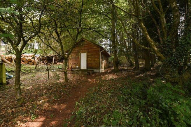 Woodland