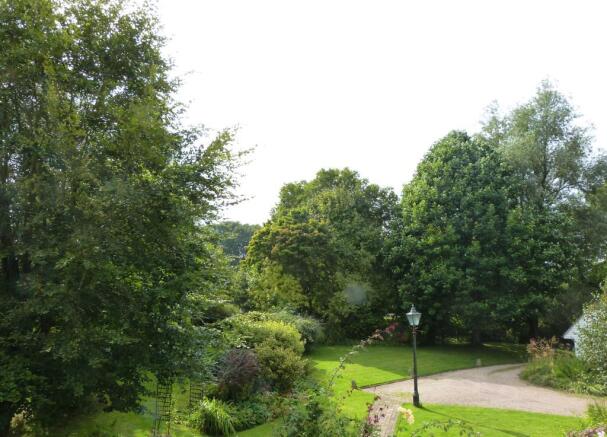 Garden From Bedroom