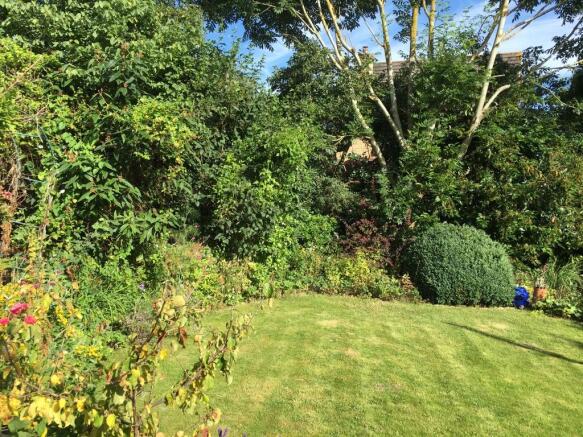 View Of Garden 2