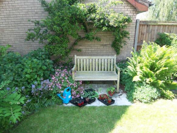 Photo 17