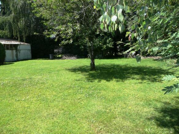 Photo 7