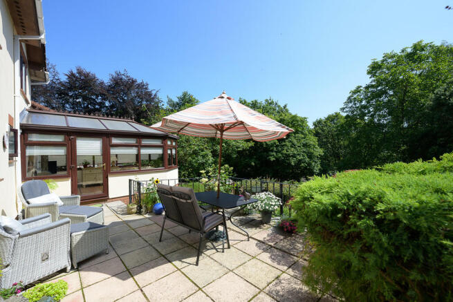 Treetops-33