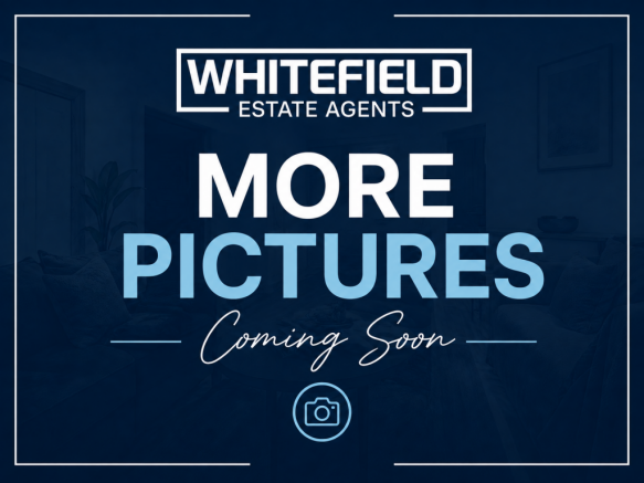 Pictures Coming Soon