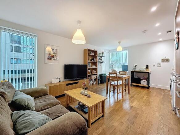 Living/Kitchen Area