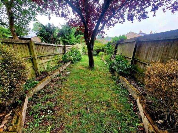 Garden 4