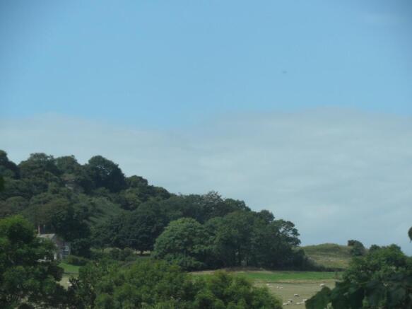 Zoomed In View