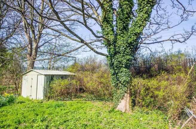 Garden Plot