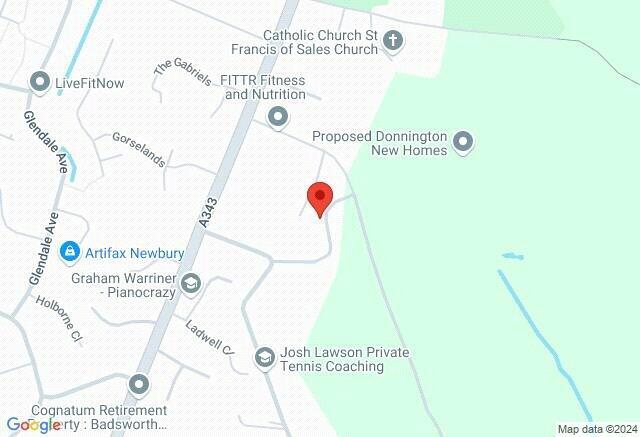 Google Maps Image