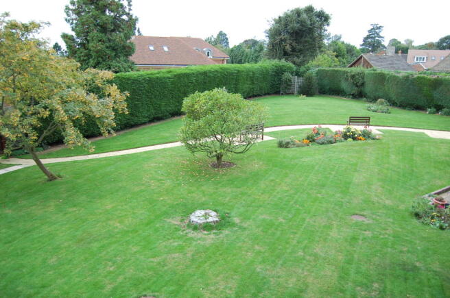 Photo 5