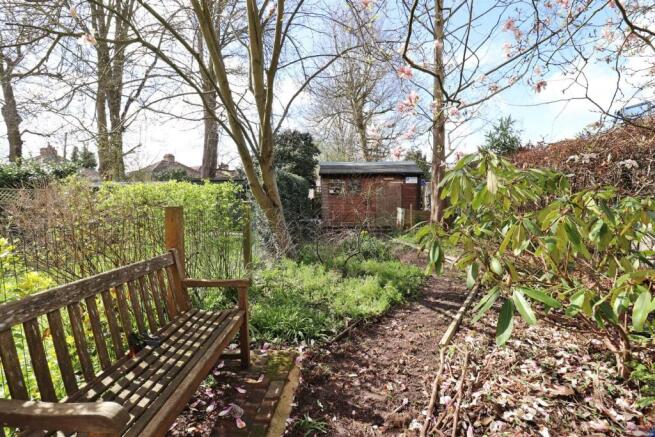 rear of garden.JPG