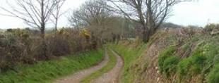View along Drive