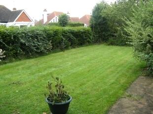 Rear Garden 4