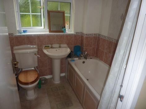 Picture 7