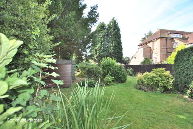 Communal Garden