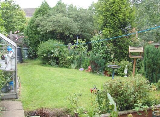 Mature garden